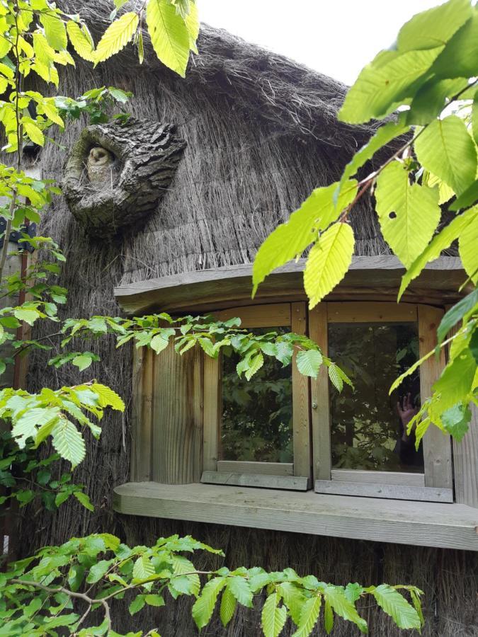 Cabane D'Augustin Saint-Augustin  Экстерьер фото