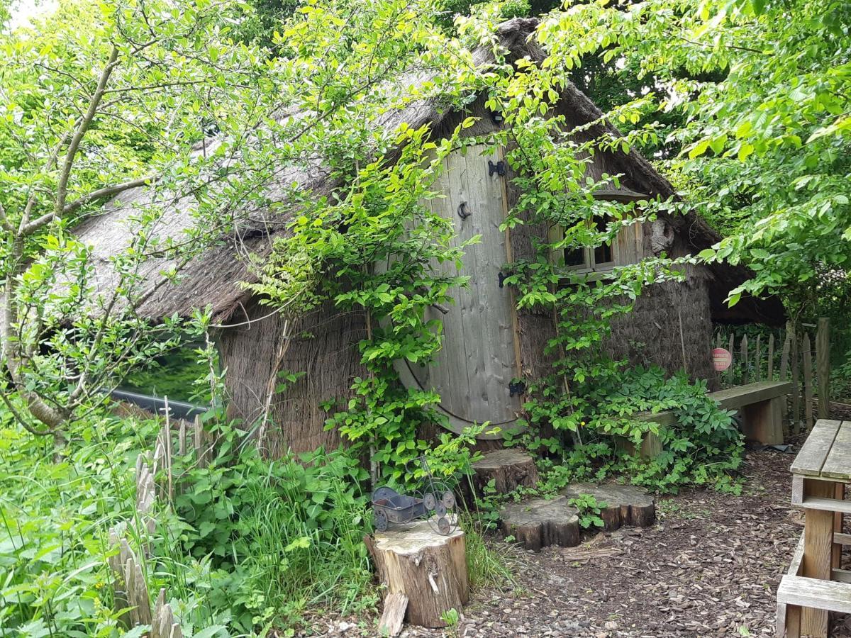 Cabane D'Augustin Saint-Augustin  Экстерьер фото